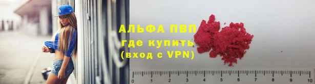 шишки Алзамай