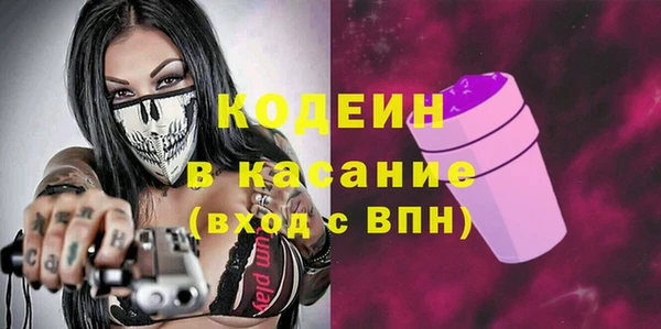 шишки Алзамай